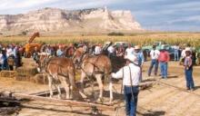 Farm And Ranch Museum
